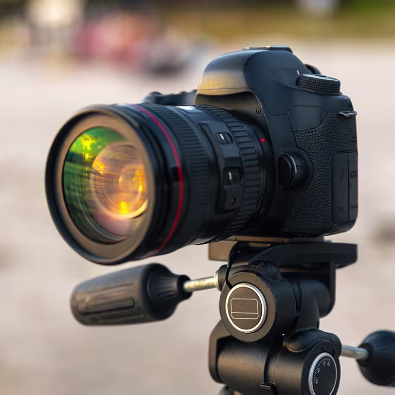 Professional Photography